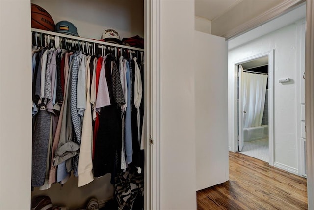 view of closet