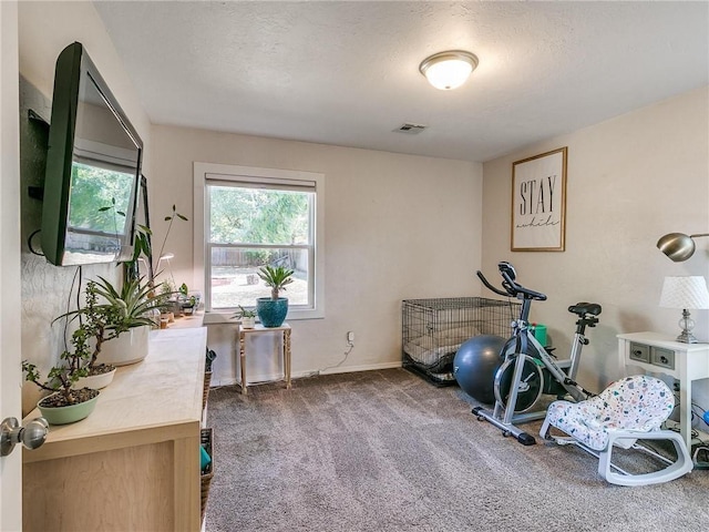 workout room with carpet flooring and a textured ceiling