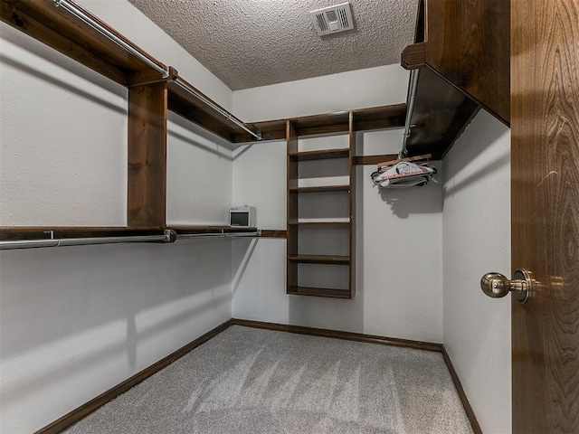 walk in closet with carpet floors