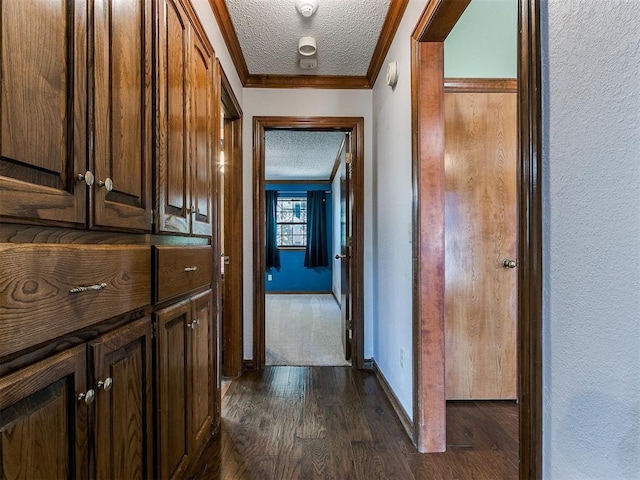 corridor featuring crown molding, dark hardwood / wood-style flooring, and a textured ceiling