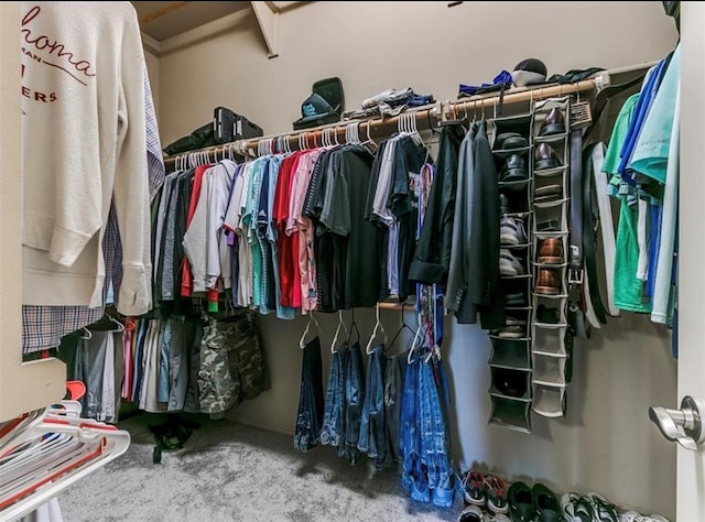 walk in closet with carpet floors