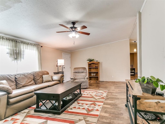 living room with hardwood / wood-style flooring, ornamental molding, ceiling fan, and a textured ceiling