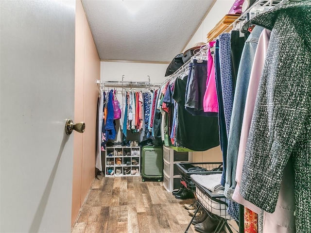 spacious closet featuring hardwood / wood-style floors