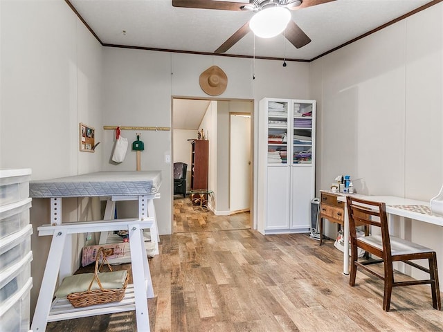 home office featuring ceiling fan, ornamental molding, and light wood-type flooring