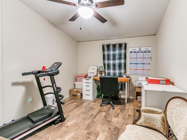 office featuring ceiling fan and light hardwood / wood-style flooring