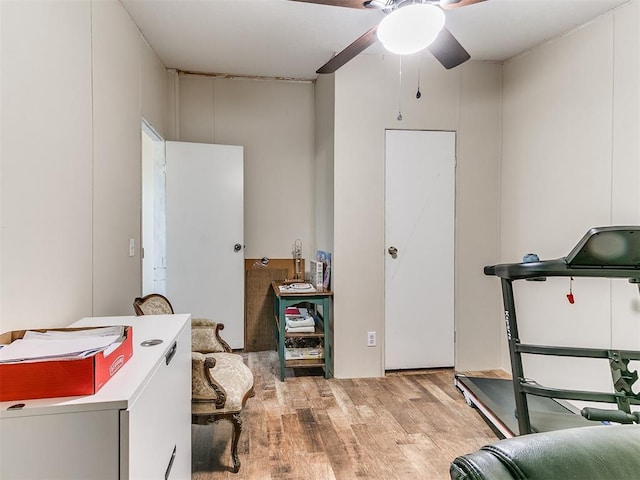 exercise area with light hardwood / wood-style floors and ceiling fan