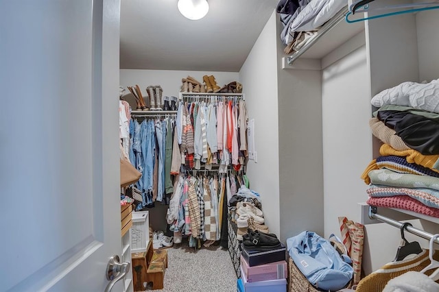 walk in closet with carpet floors