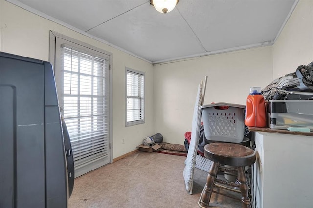 miscellaneous room featuring light colored carpet