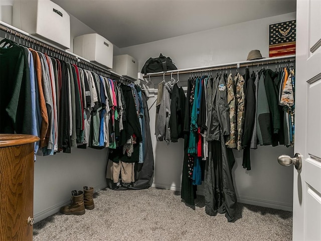 walk in closet featuring carpet flooring