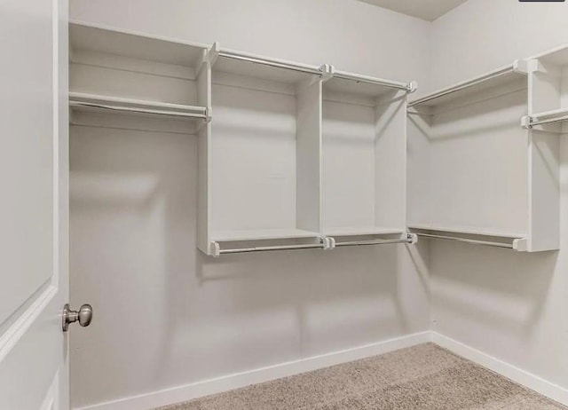 spacious closet with carpet floors