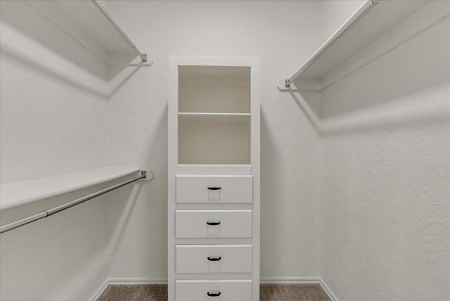 walk in closet featuring carpet flooring