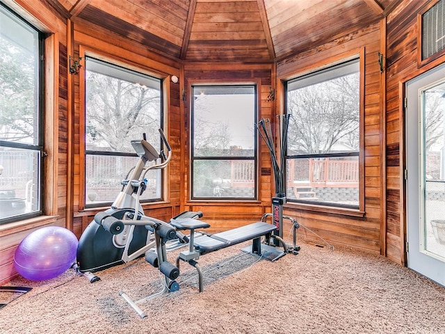 workout area featuring a healthy amount of sunlight, carpet, and wooden walls