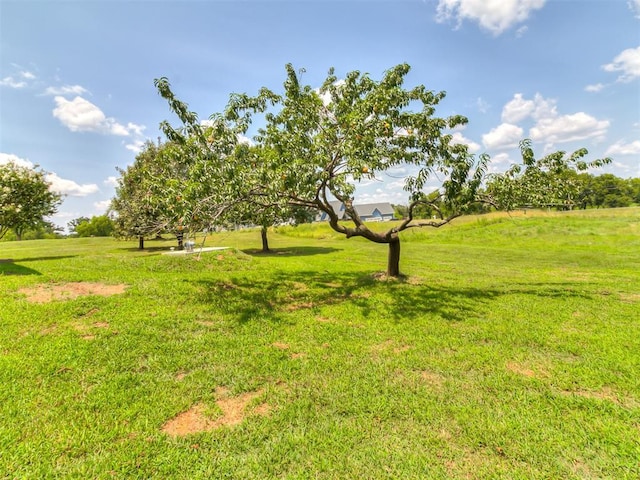 view of yard with a rural view