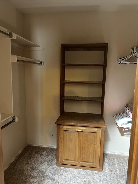 walk in closet featuring carpet flooring