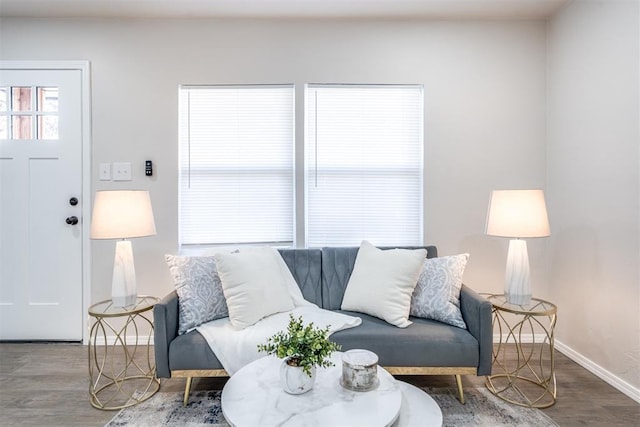 living room featuring hardwood / wood-style floors