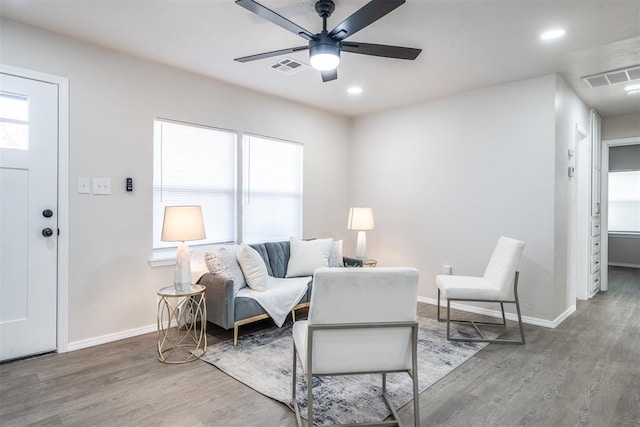 living room with ceiling fan and wood-type flooring