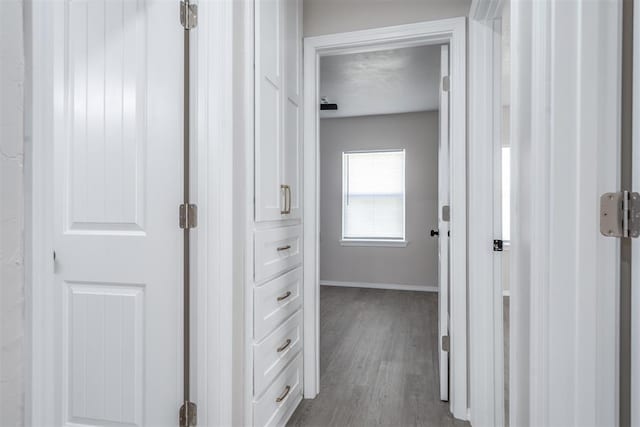 corridor featuring wood-type flooring