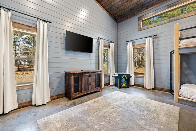 interior space with lofted ceiling, concrete flooring, and wood walls