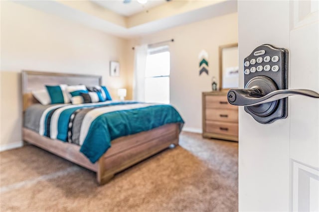 carpeted bedroom featuring a raised ceiling