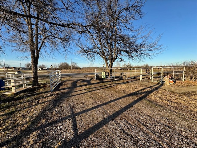 view of yard with a rural view