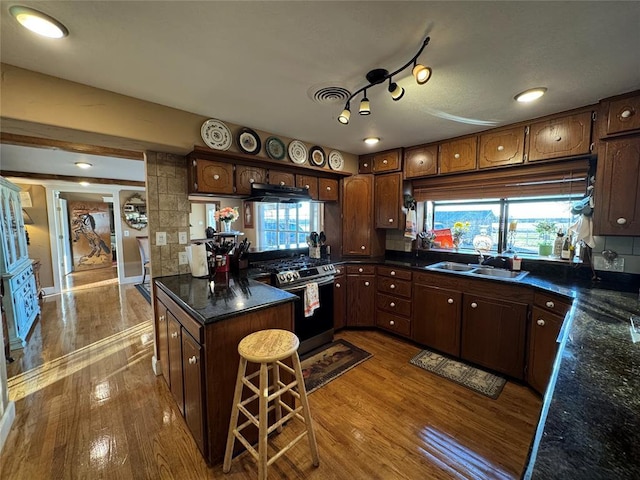 kitchen featuring dark brown cabinetry, stainless steel range with gas cooktop, sink, light wood-type flooring, and ornate columns