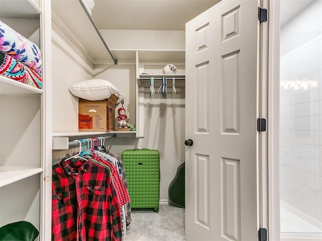 walk in closet with light colored carpet