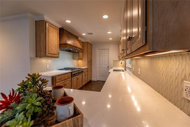 kitchen featuring sink, dark hardwood / wood-style flooring, decorative backsplash, stainless steel gas cooktop, and custom range hood