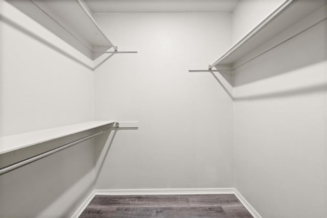 spacious closet featuring dark hardwood / wood-style floors