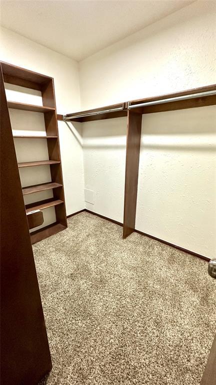 walk in closet with carpet floors