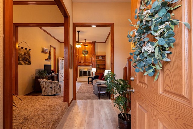 foyer entrance featuring ceiling fan, ornamental molding, and light wood-type flooring