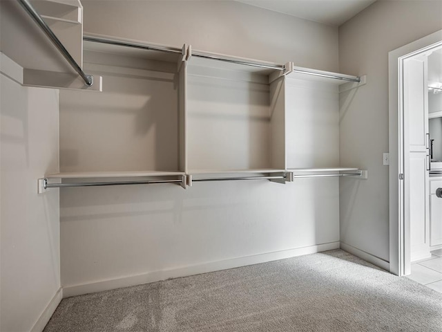 spacious closet featuring light carpet