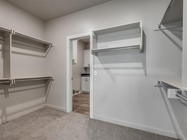 19001 Bobcat Ridge Ct, Cashion, OK 73016 - spacious closet featuring carpet