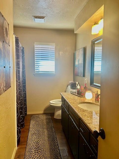 bathroom featuring plenty of natural light, wood-type flooring, vanity, and a textured ceiling