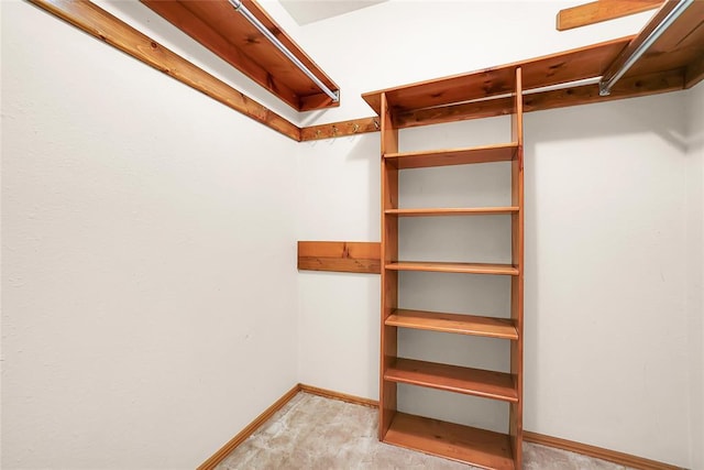 spacious closet with light colored carpet