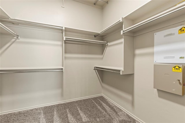 spacious closet with carpet