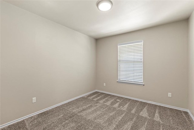 spare room with carpet