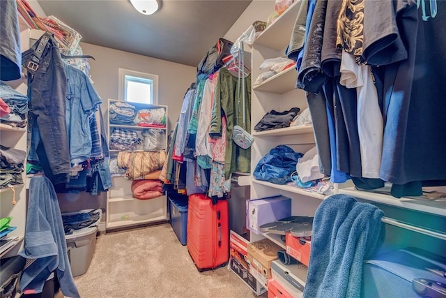 spacious closet with light carpet