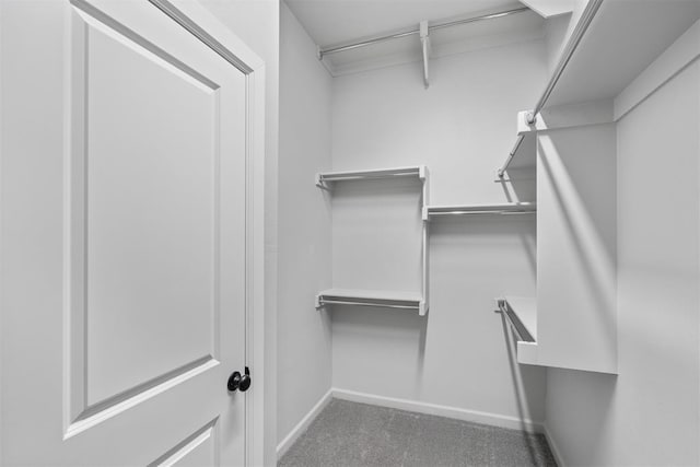 spacious closet featuring carpet