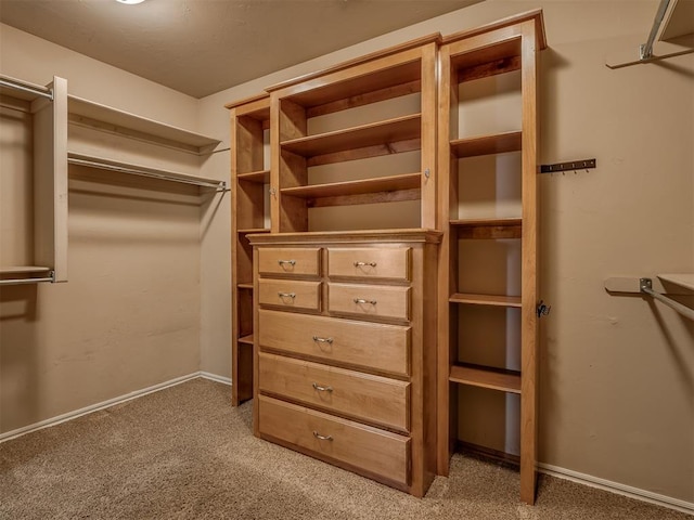 spacious closet with carpet