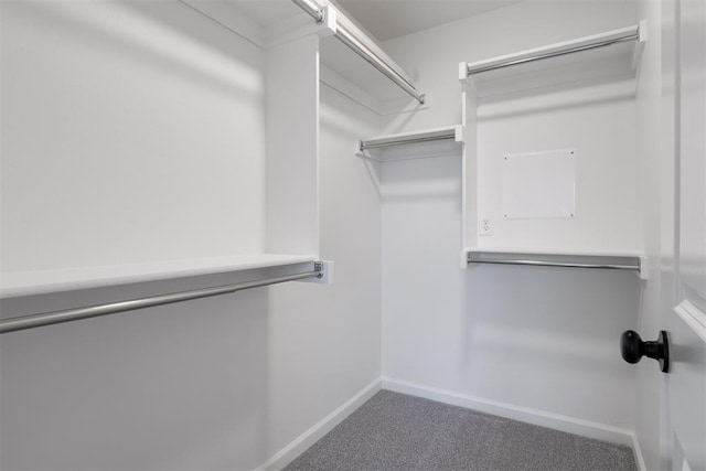 spacious closet featuring carpet floors