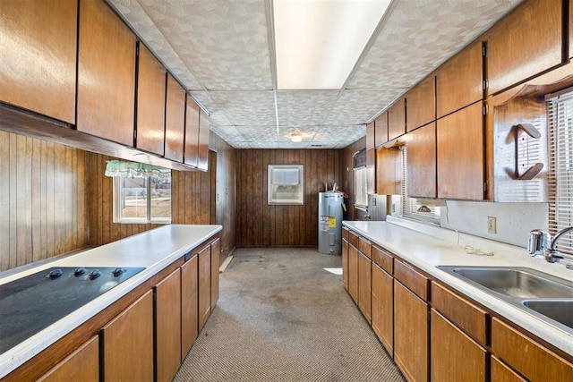 kitchen with sink, water heater, a healthy amount of sunlight, light carpet, and wood walls