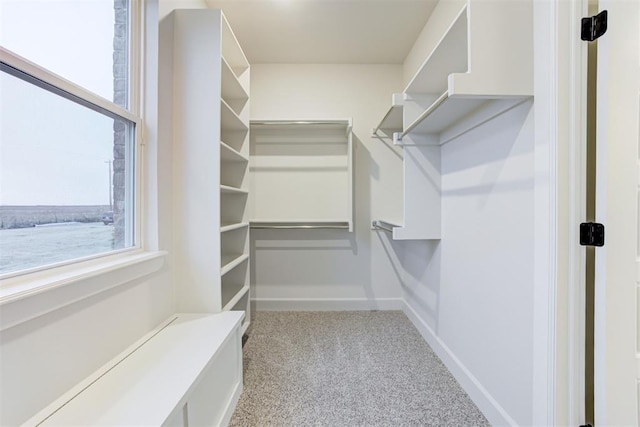 spacious closet with light carpet