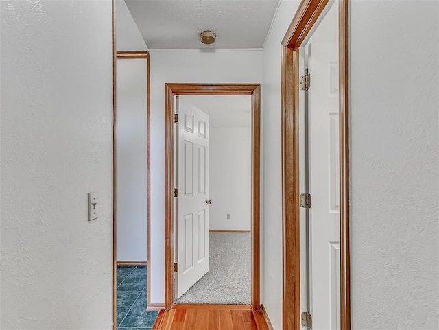 corridor with wood-type flooring