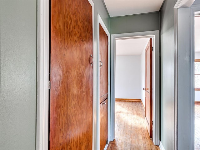 hallway featuring light wood-type flooring