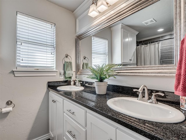 bathroom featuring plenty of natural light and vanity