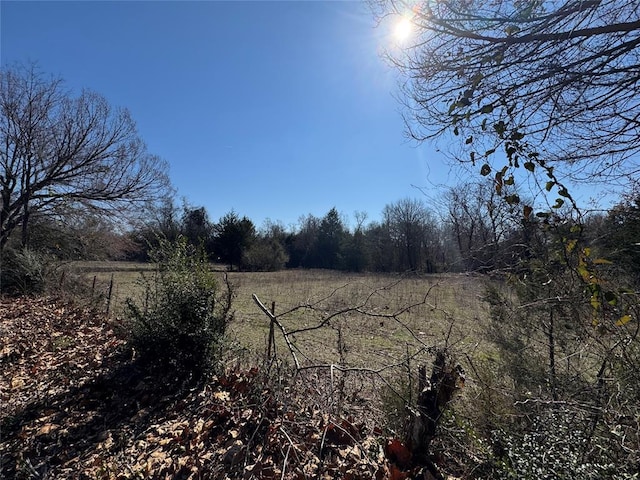 view of nature featuring a rural view