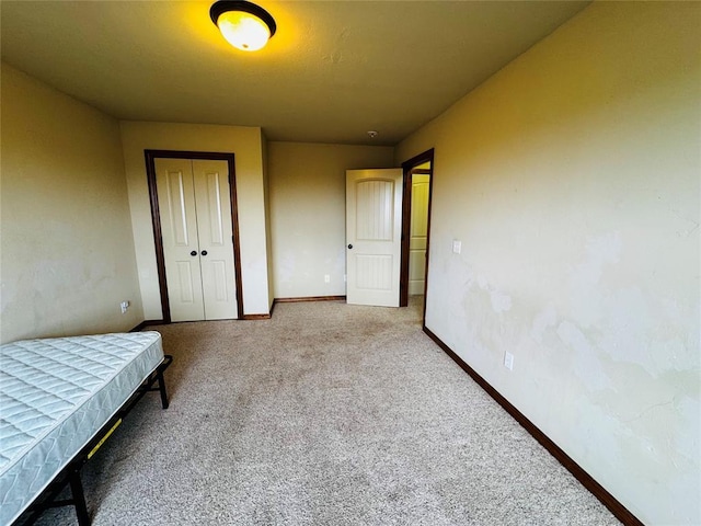 bedroom featuring carpet floors and a closet