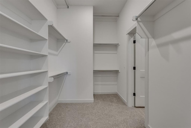 spacious closet featuring light carpet