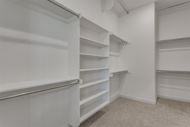 spacious closet with light carpet