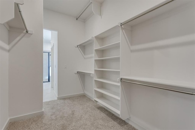 walk in closet with light colored carpet